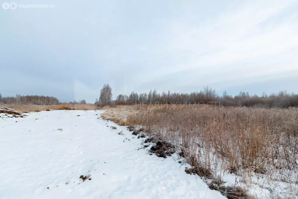 Участок в Тюмень (7.3 м) - Фото 2