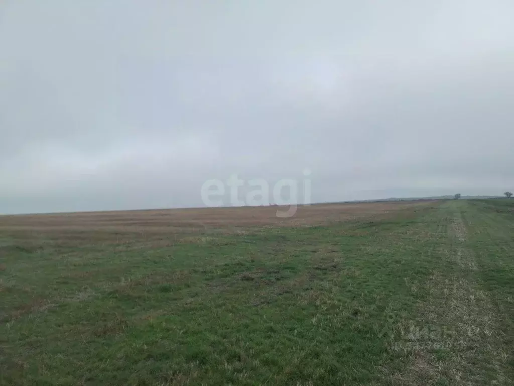 Участок в Крым, Ленинский район, Семисотское с/пос, с. Каменское ул. ... - Фото 1