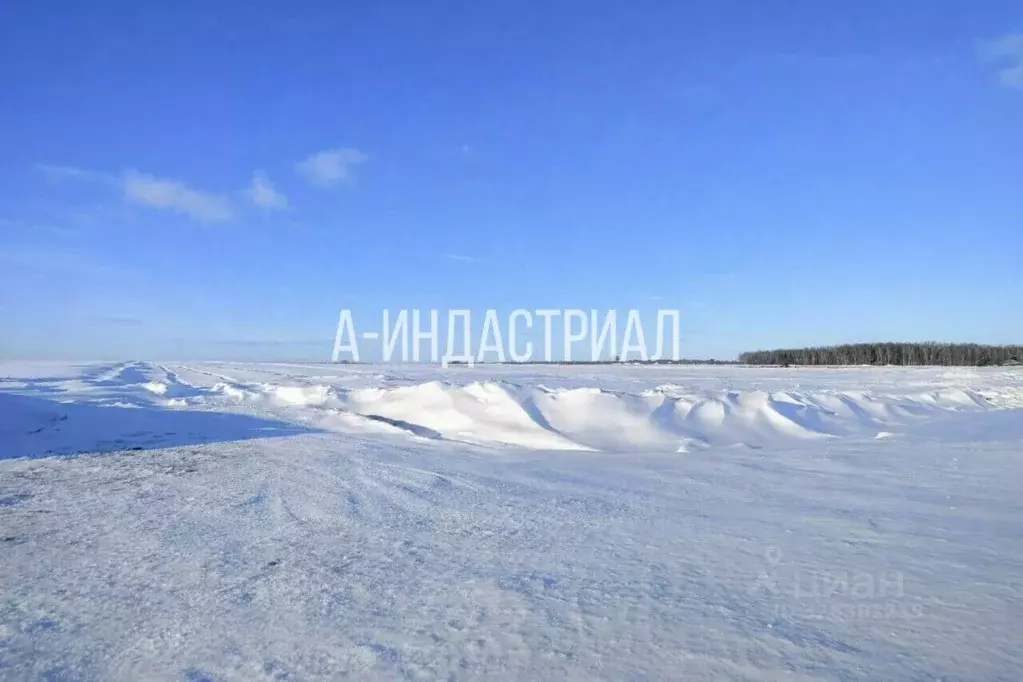 Участок в Московская область, Подольск городской округ, д. Дмитрово 19 ... - Фото 2