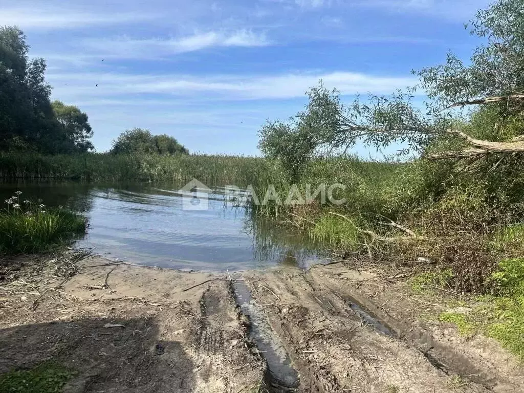 Участок в Пензенская область, Шемышейский район, с. Усть-Уза Советская ... - Фото 0