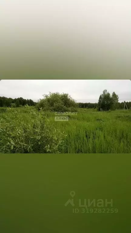 Участок в Тюменская область, Нижнетавдинский район, Геофизик 2 СНТ  ... - Фото 0