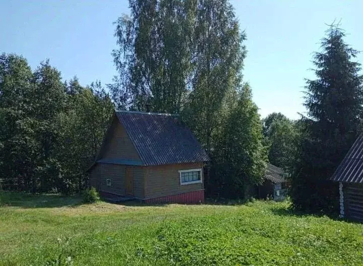 Участок в Новгородская область, Валдайский муниципальный район, ... - Фото 2