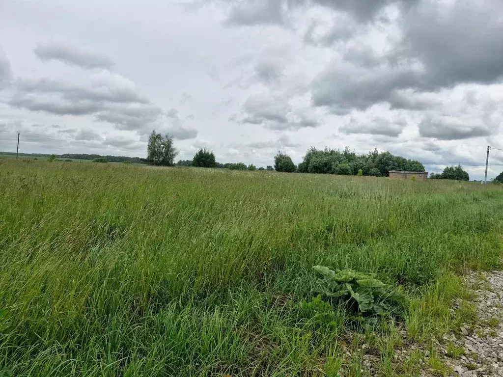 Участок в Московская область, Ступино городской округ, д. Дубнево  ... - Фото 1
