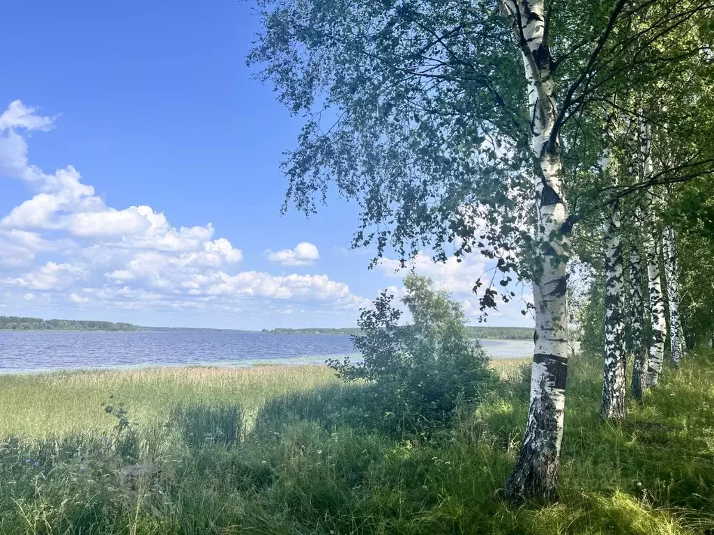 Участок в Ярославская область, Некрасовское с/пос  (20.9 сот.) - Фото 0