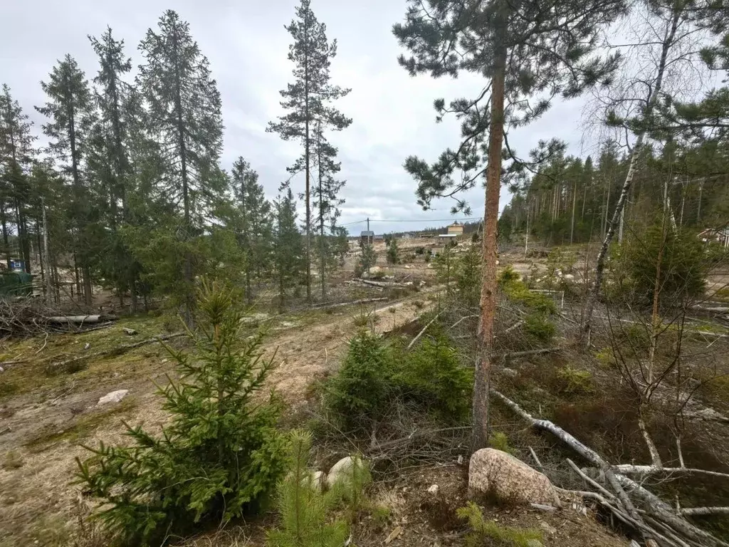 Участок в Ленинградская область, Выборгский район, Полянское с/пос, ... - Фото 1