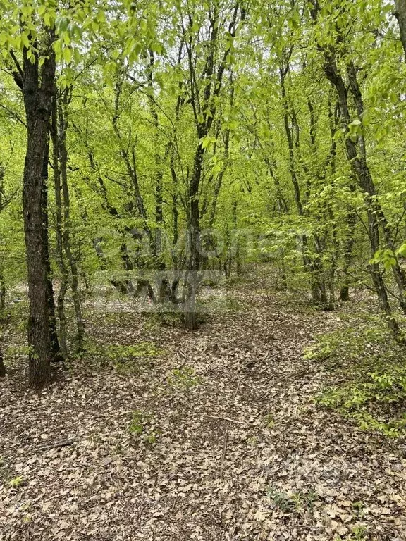 Участок в Севастополь Балаклавский муниципальный округ, Энергетик-5 ... - Фото 2