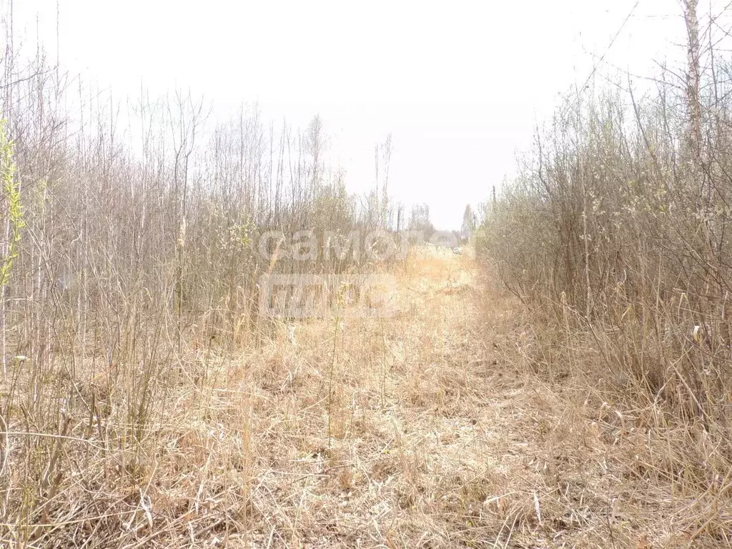 Участок в Тюменская область, Нижнетавдинский муниципальный округ, ... - Фото 1