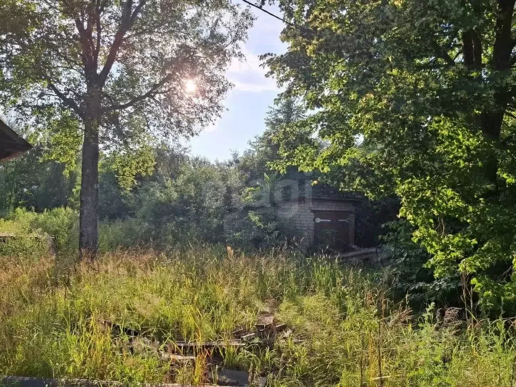 Участок в Костромская область, Красносельский район, Сидоровское ... - Фото 1