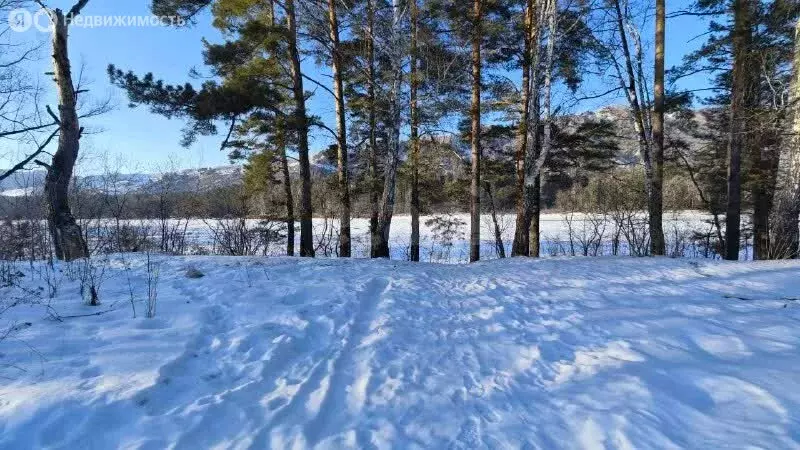 Участок в Майминский район, Соузгинское сельское поселение, посёлок ... - Фото 2