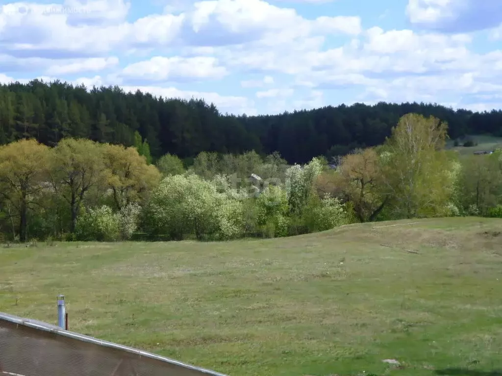 Участок в Тюменская область, Исетский муниципальный округ, деревня ... - Фото 2