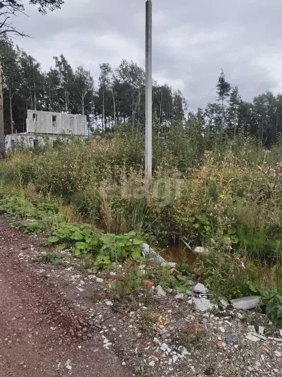 Участок в Ленинградская область, Всеволожский район, Романовское ... - Фото 1