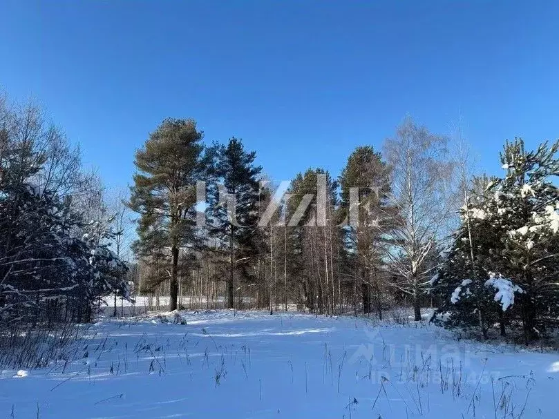 Участок в Ленинградская область, Всеволожский район, Кузьмоловское ... - Фото 1