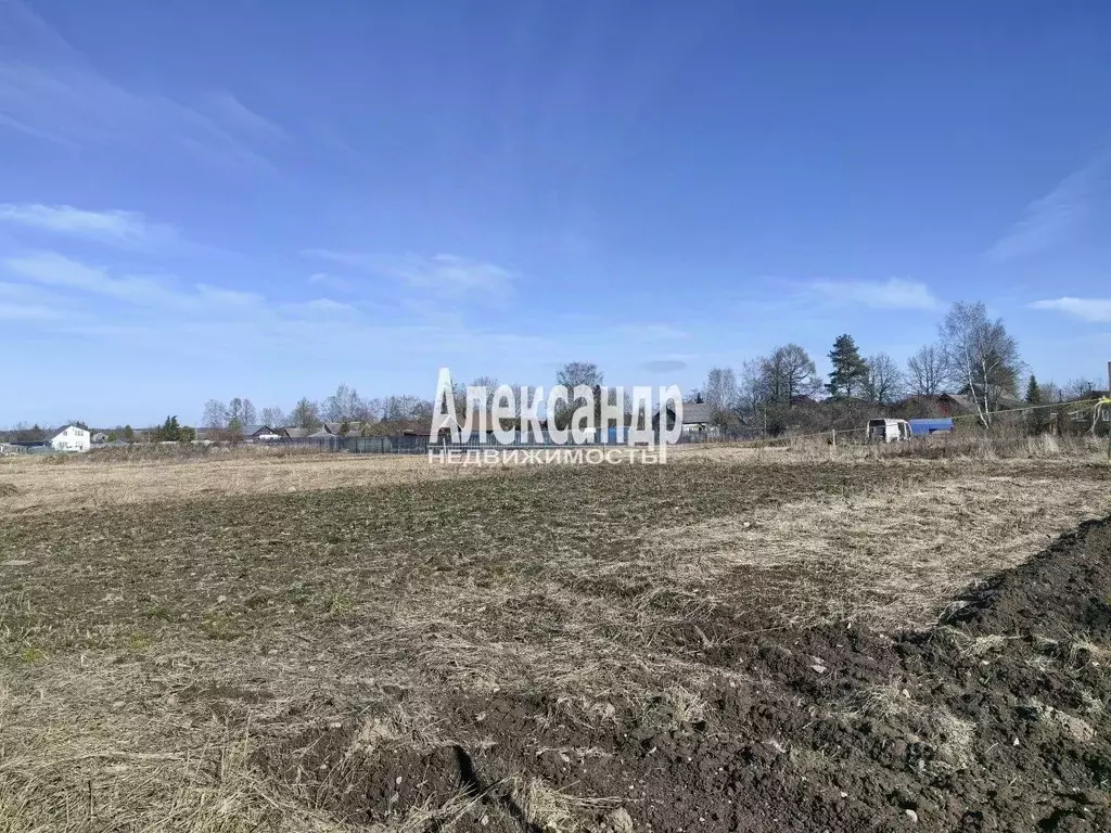 Участок в Ленинградская область, Гатчинский муниципальный округ, пос. ... - Фото 2