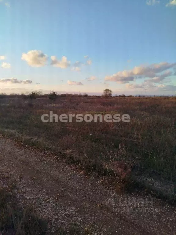 Участок в Севастополь пос. Любимовка, ул. Софьи Перовской (60.0 сот.) - Фото 1