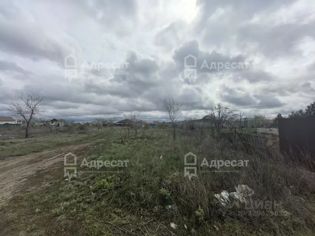 Участок в Волгоградская область, Городищенский район, Царицынское ... - Фото 2