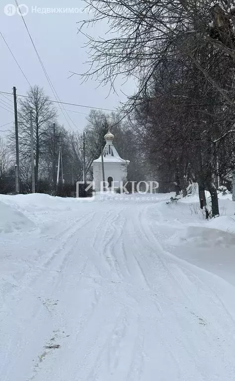 Дом в деревня Афанасово, улица 1-я Линия, 22 (52.4 м) - Фото 0