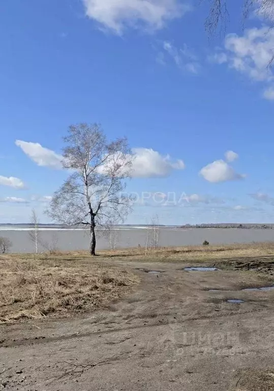 Участок в Новосибирская область, Новосибирский район, Морской ... - Фото 0