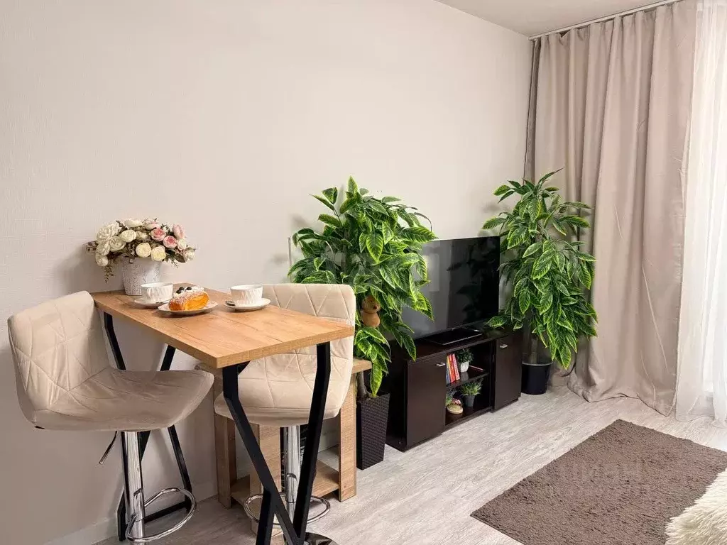 Студия Ленинградская область, Ломоносовский район, Виллозское ... - Фото 1