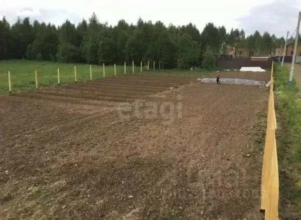 Участок в Московская область, Солнечногорск городской округ, Дачной ... - Фото 0