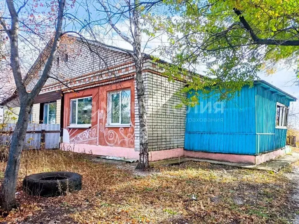 Дом в Амурская область, Серышевский муниципальный округ, с. Белогорка ... - Фото 1