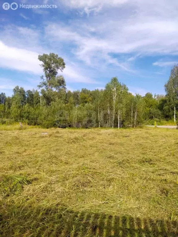 Участок в Майминский район, посёлок Дубровка, улица Сафронова (10 м) - Фото 1