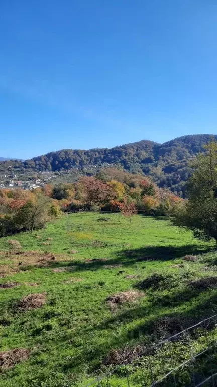 Участок в Краснодарский край, Сочи городской округ, с. Сергей-Поле ул. ... - Фото 1
