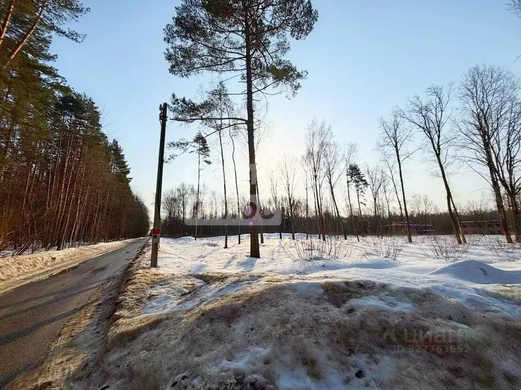 Участок в Московская область, Чехов Дорожная ул. (6.6 сот.) - Фото 2
