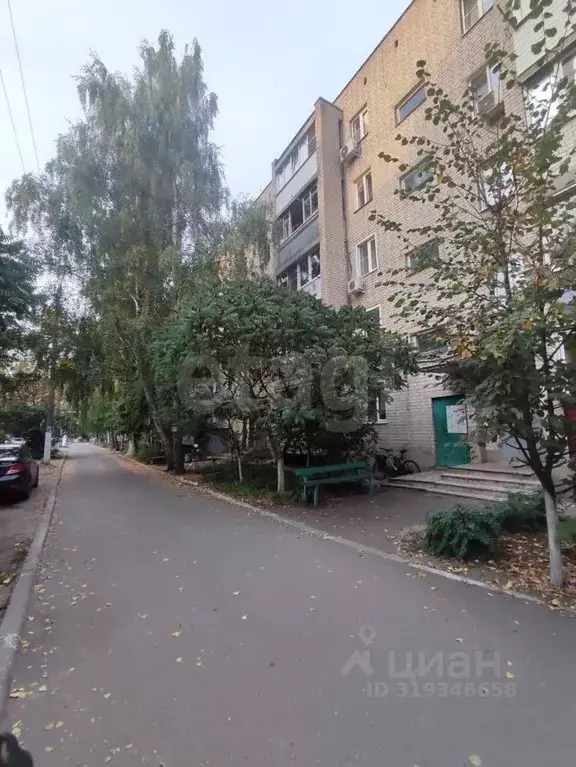 3-к кв. Воронежская область, Борисоглебск Северный мкр, 43 (59.1 м) - Фото 1