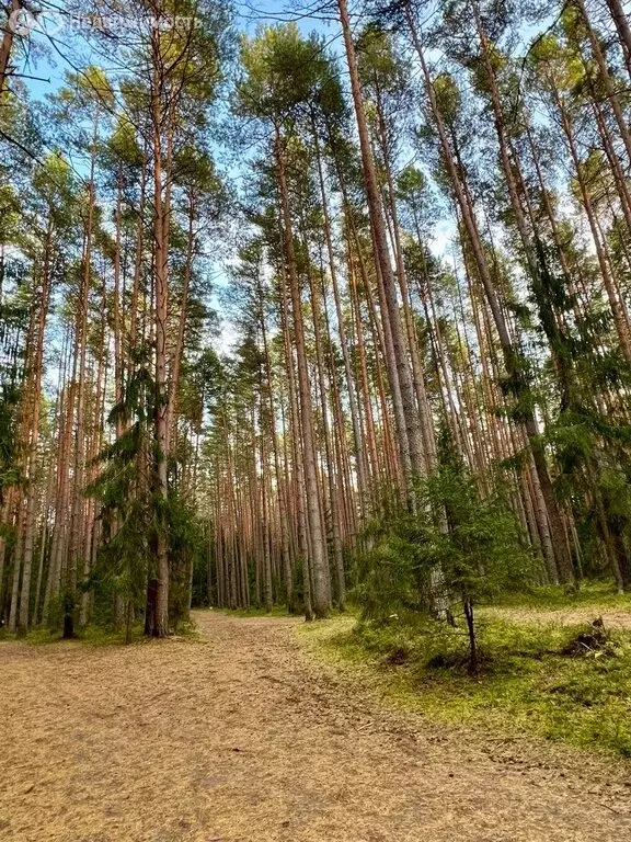 2-комнатная квартира: Конаково, улица Строителей, 22 (54 м) - Фото 1