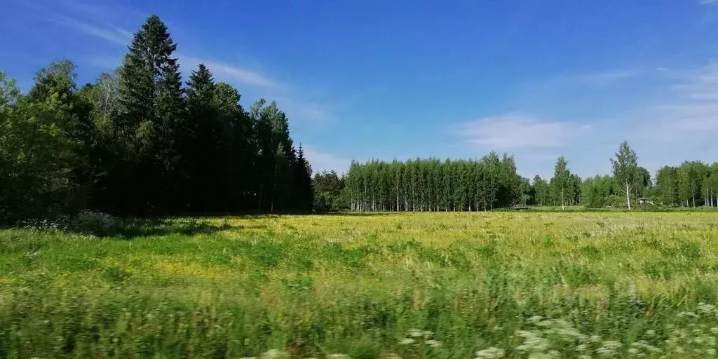 Участок в Московская область, Одинцовский городской округ, д. Сколково ... - Фото 0