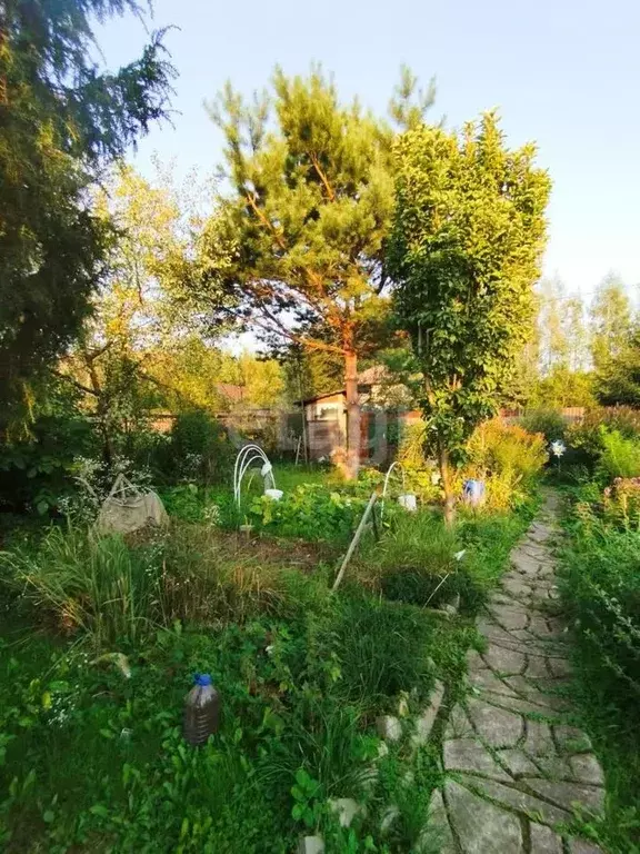 Дом в Калужская область, Боровский муниципальный округ, Ворсино с/пос, ... - Фото 1