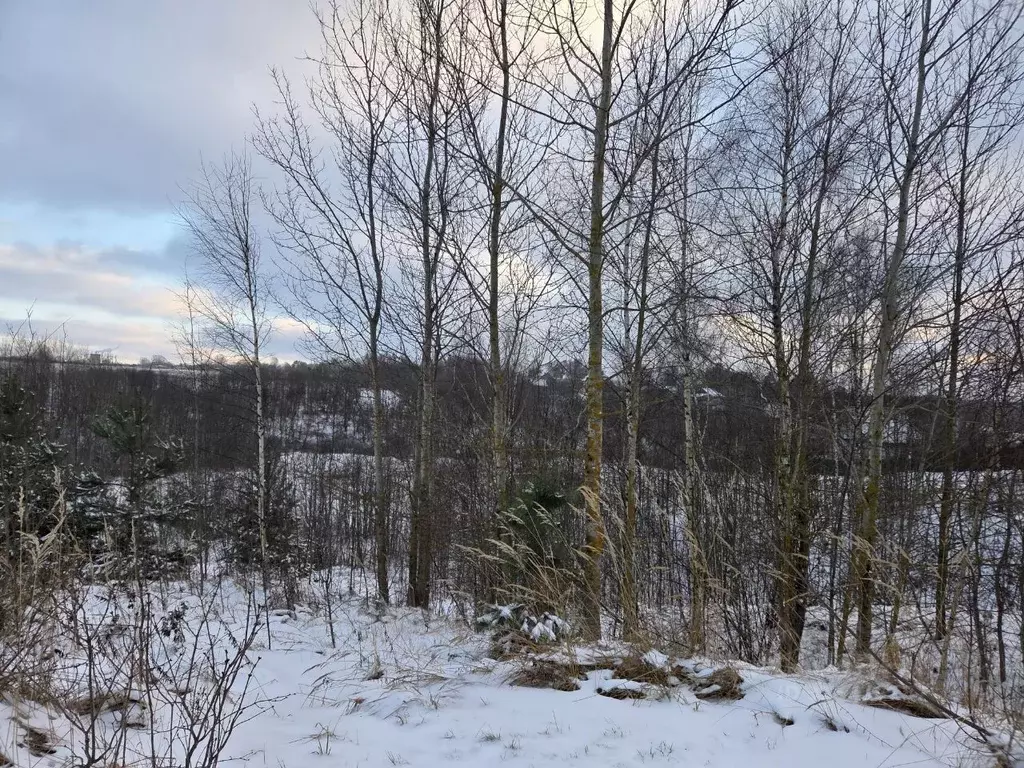 Участок в Московская область, Сергиево-Посадский городской округ, д. ... - Фото 2