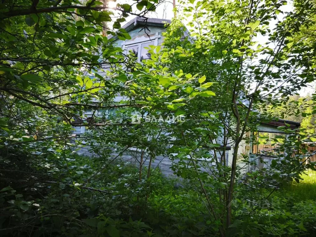 Дом в Нижегородская область, Бор Колос СНТ, 2 (70 м) - Фото 2