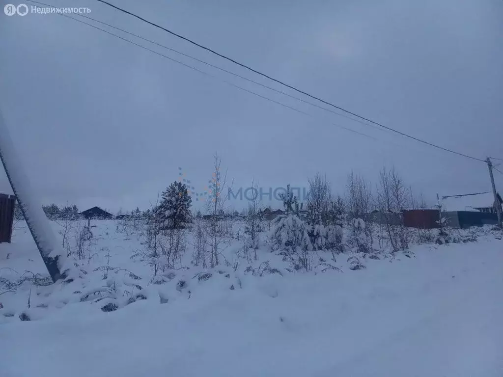 Участок в Нижегородская область, Богородский муниципальный округ, ... - Фото 1