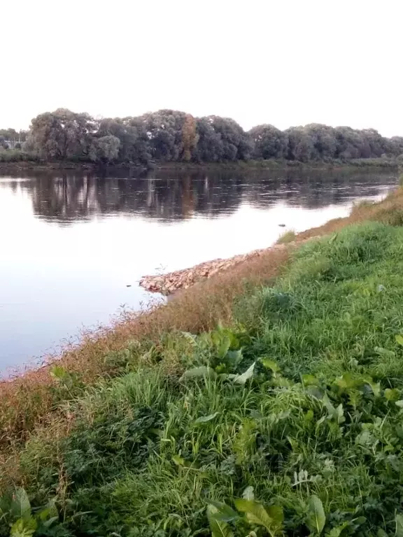 Участок в Новгородская область, Новгородский район, Бронницкое с/пос, ... - Фото 0