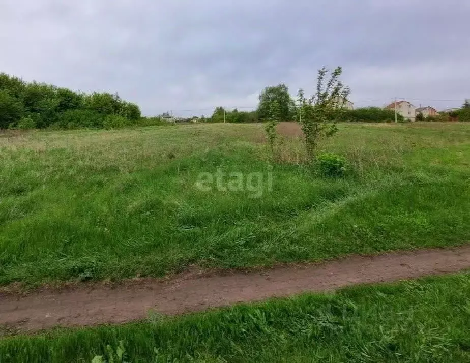 Участок в Белгородская область, Белгородский район, с. Стрелецкое ... - Фото 1