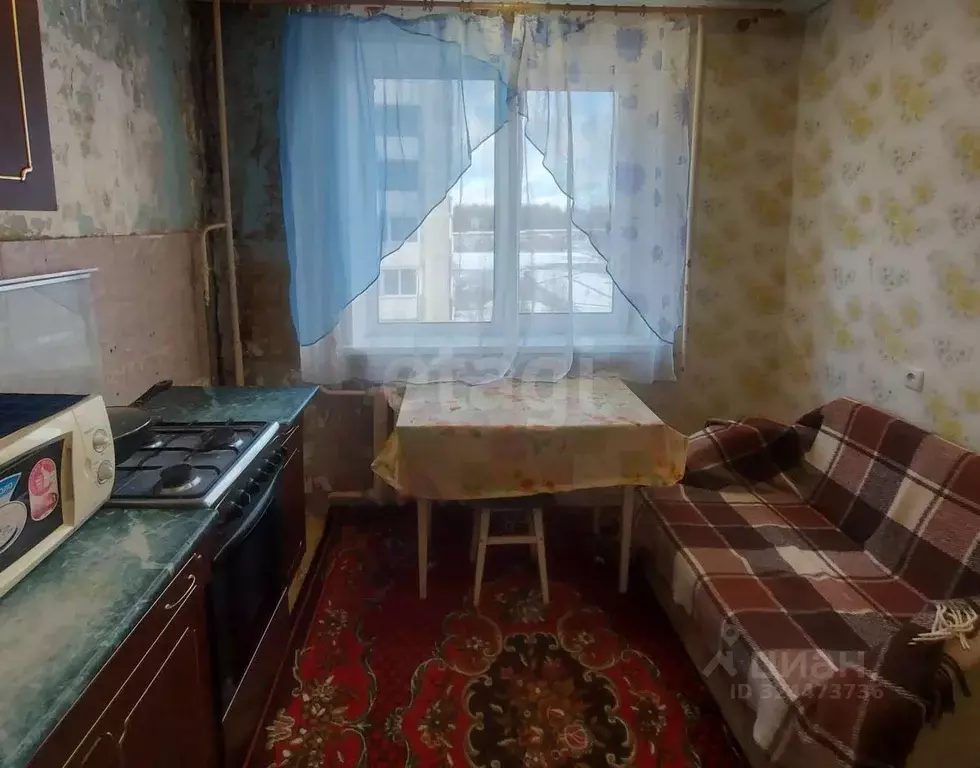 1-к кв. Смоленская область, Сафоново 1-й мкр, 30 (31.4 м) - Фото 2