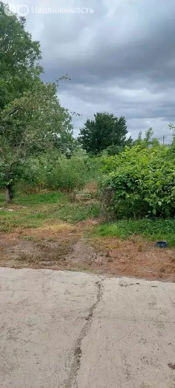 Участок в Успенский район, Вольненское сельское поселение, посёлок ... - Фото 2