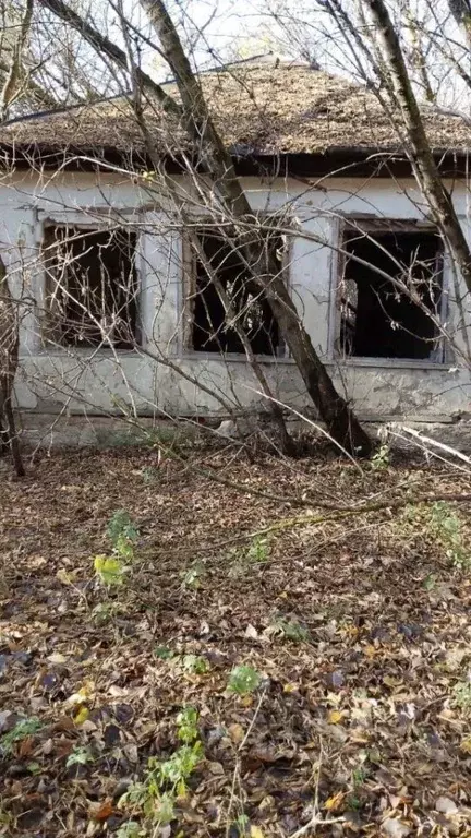 Дом в Курская область, Пристенский район, Нагольненский сельсовет, с. ... - Фото 2