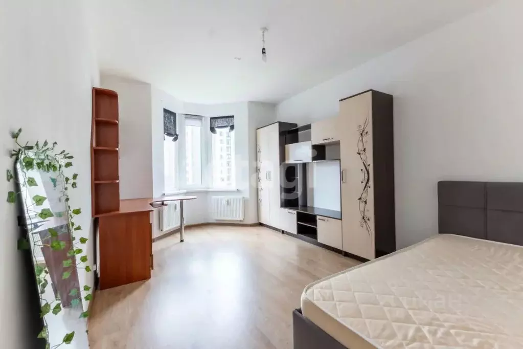 Студия Санкт-Петербург пер. Ипподромный, 3к1 (24.1 м) - Фото 1