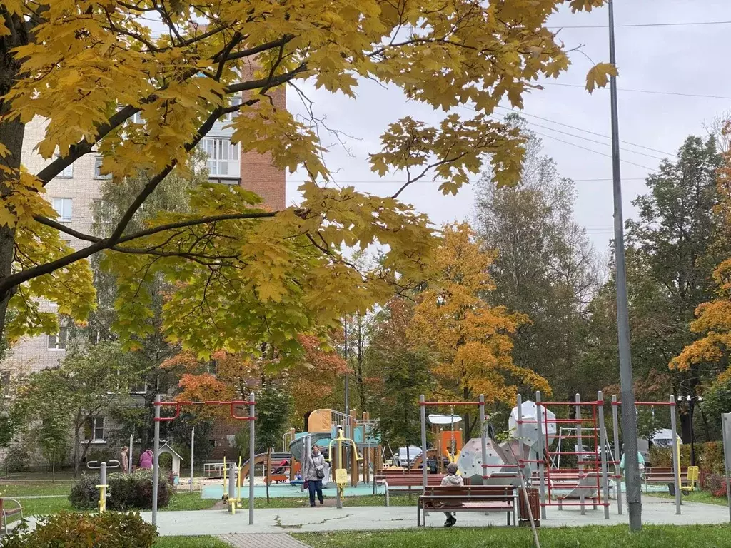 2-к кв. Санкт-Петербург Ключевая ул., 7 (45.5 м) - Фото 2