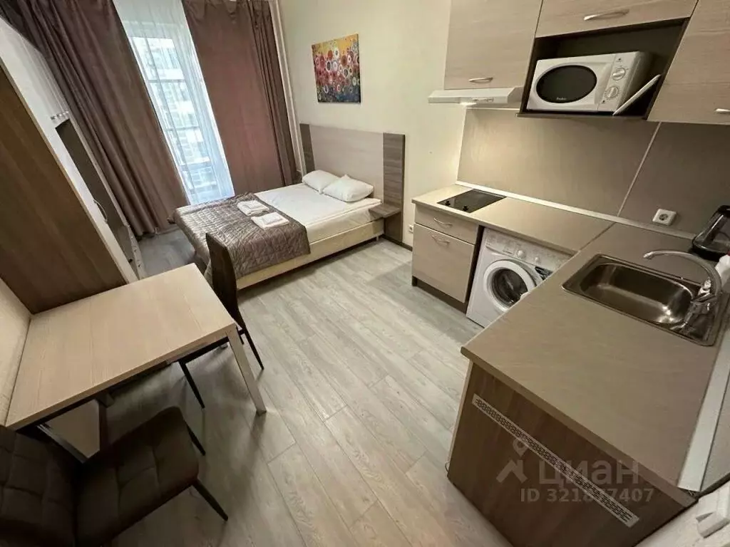 1-к кв. Санкт-Петербург Пулковское ш., 14Д (26.0 м) - Фото 2