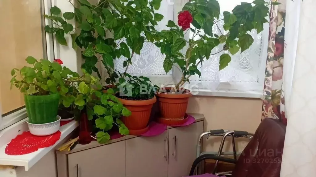 1-к кв. Калининградская область, Калининград ул. Виктора Денисова, 18 ... - Фото 2