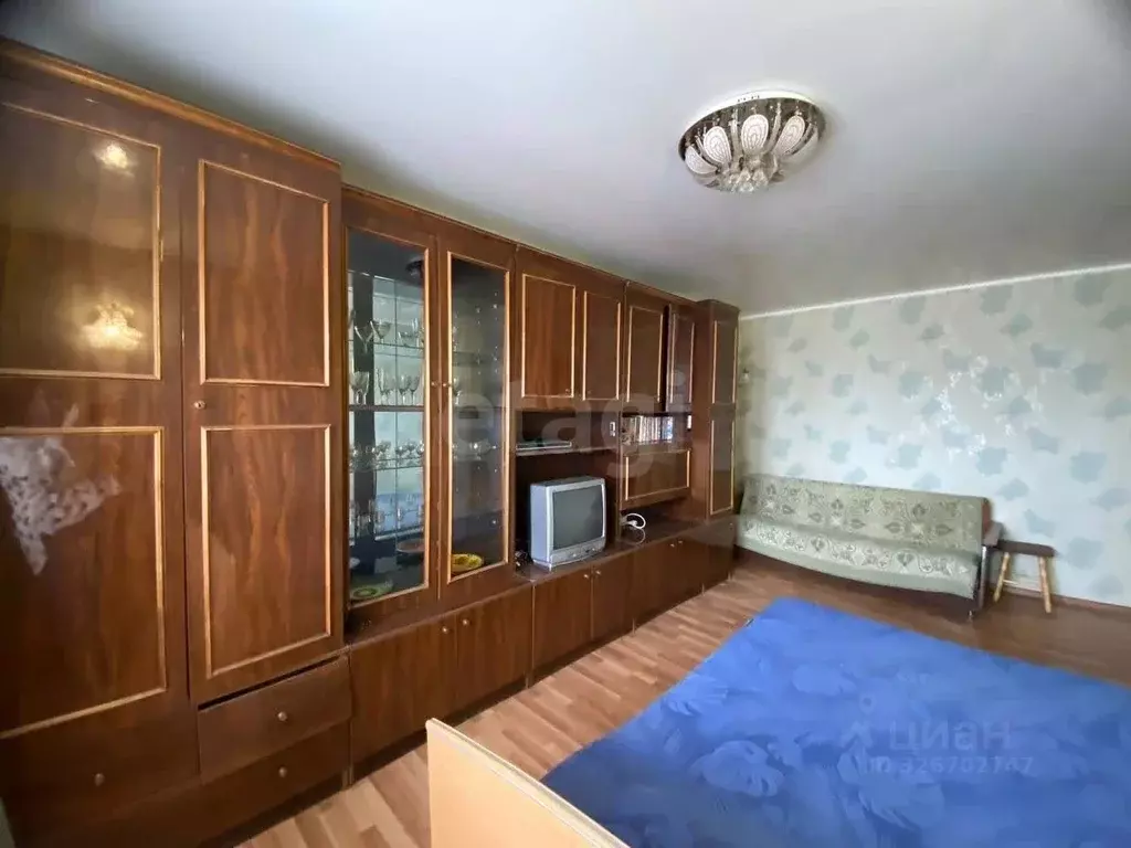 1-к кв. Костромская область, Галич Фестивальная ул., 2 (32.1 м) - Фото 1