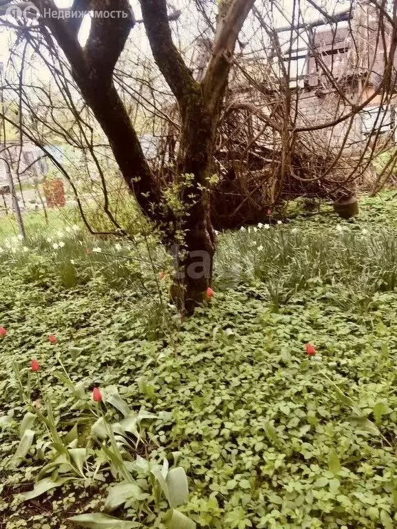 Участок в Калининград, СНТ Весна (5.3 м) - Фото 0