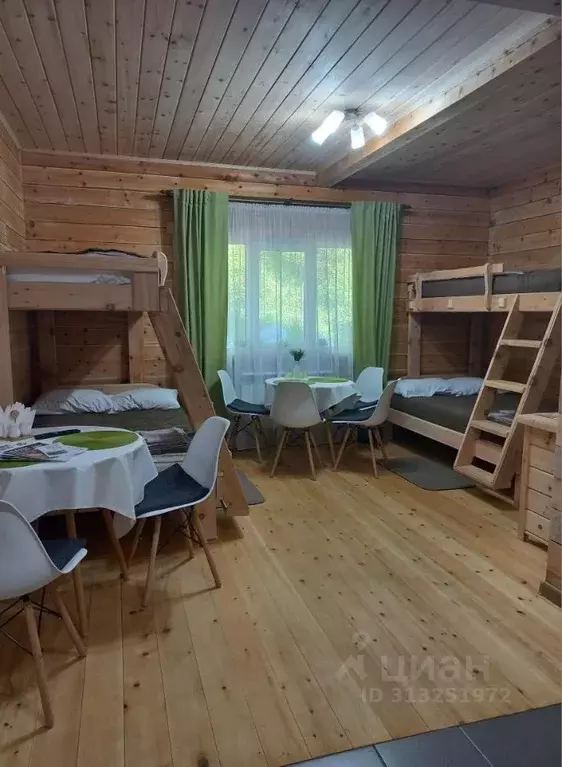 Дом в Алтай, Турочакский район, с. Артыбаш пер. Еловый, 6 (30 м) - Фото 0