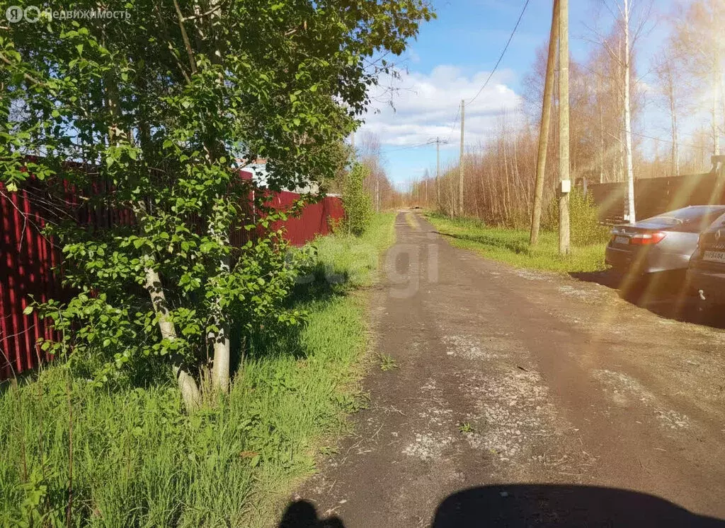 Участок в Архангельская область, Приморский муниципальный округ, СНТ ... - Фото 1