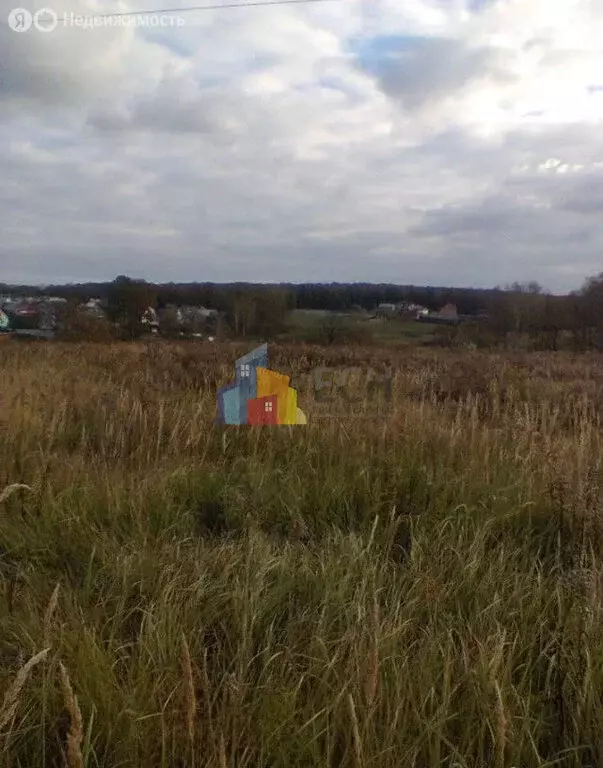 Участок в Щёкинский район, сельское поселение Яснополянское (36 м) - Фото 2