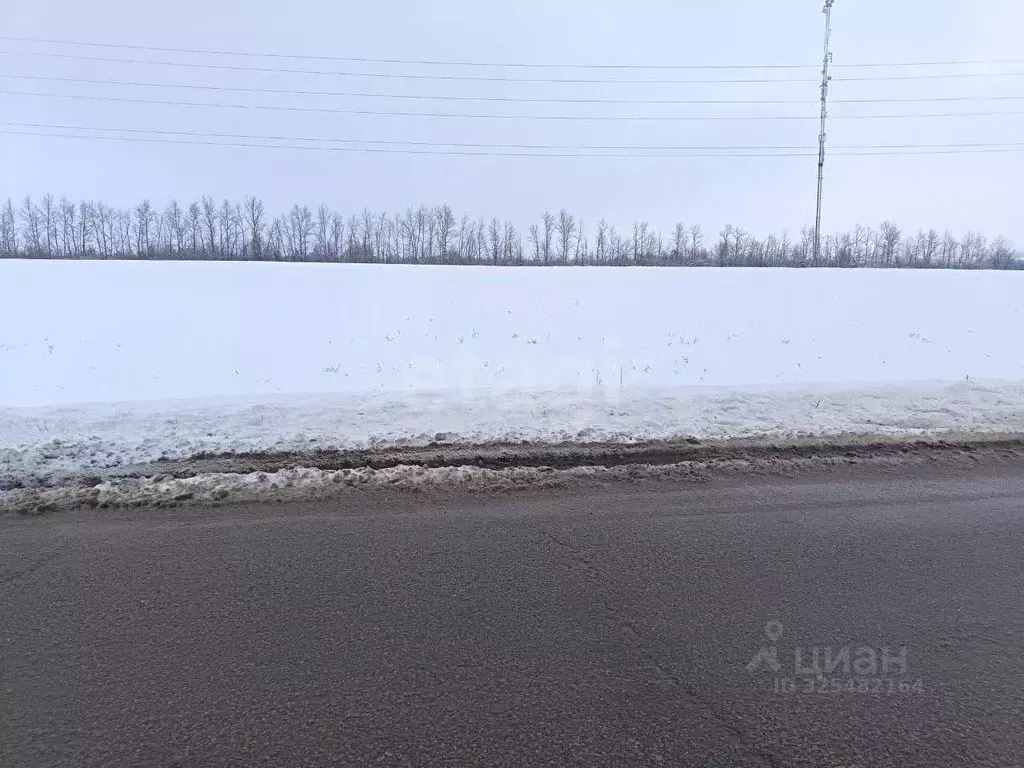 Участок в Белгородская область, Красногвардейский район, Ливенское ... - Фото 1
