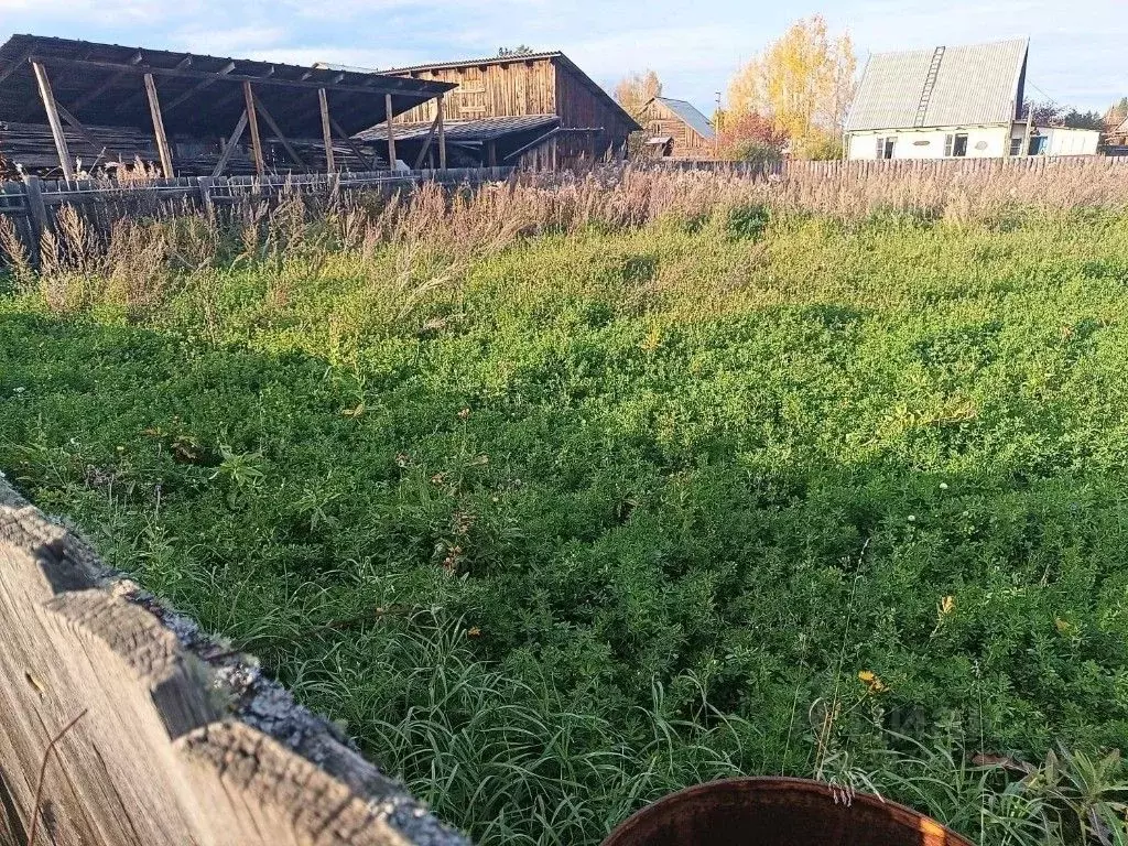 Участок в Иркутская область, Братский район, Зябинское муниципальное ... - Фото 1